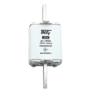 Плавкий запобіжник (вставка) ЗП2 габарит 2 125А TNSy